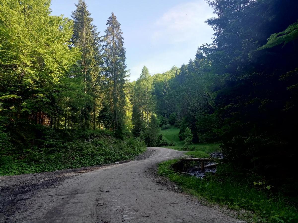 Dom W Gorach Przy Szlaku Villa Bystra  Kültér fotó