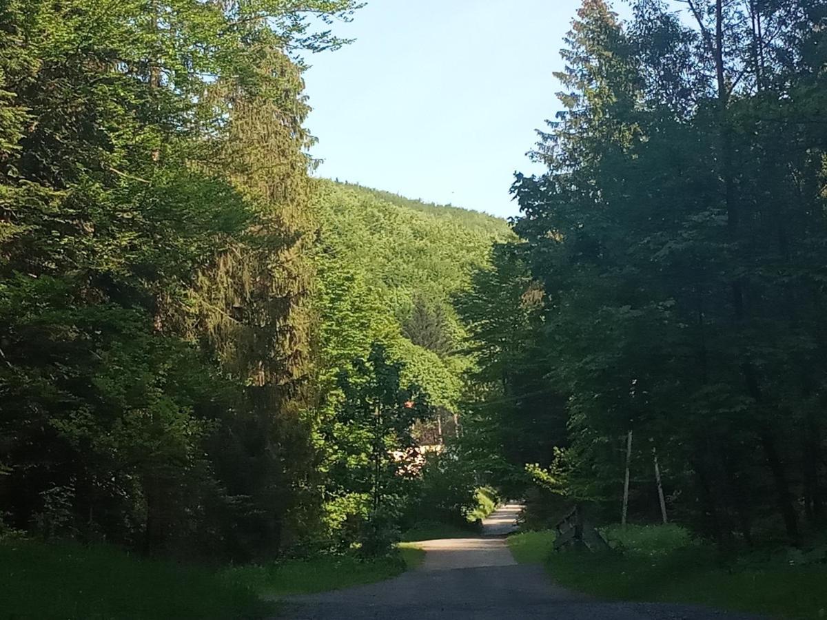 Dom W Gorach Przy Szlaku Villa Bystra  Kültér fotó
