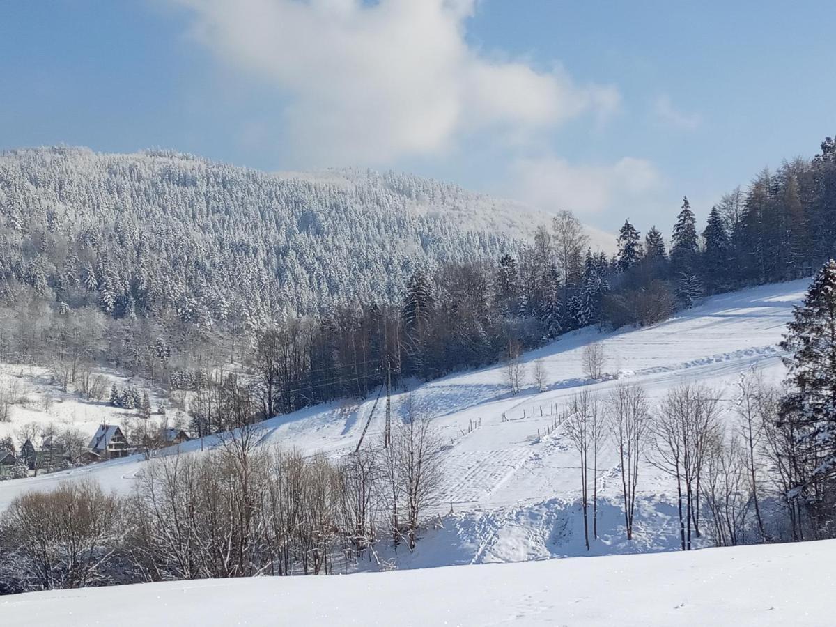Dom W Gorach Przy Szlaku Villa Bystra  Kültér fotó