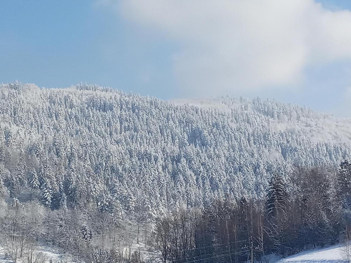 Dom W Gorach Przy Szlaku Villa Bystra  Kültér fotó