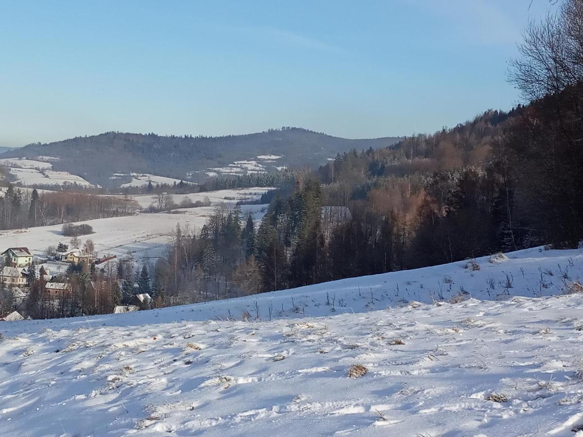 Dom W Gorach Przy Szlaku Villa Bystra  Kültér fotó