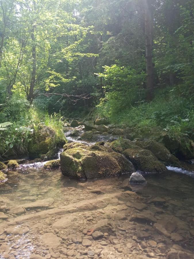 Dom W Gorach Przy Szlaku Villa Bystra  Kültér fotó