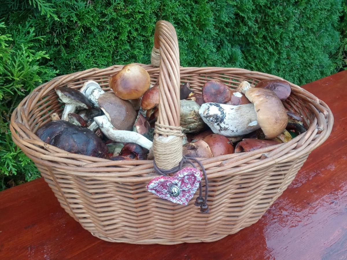 Dom W Gorach Przy Szlaku Villa Bystra  Kültér fotó