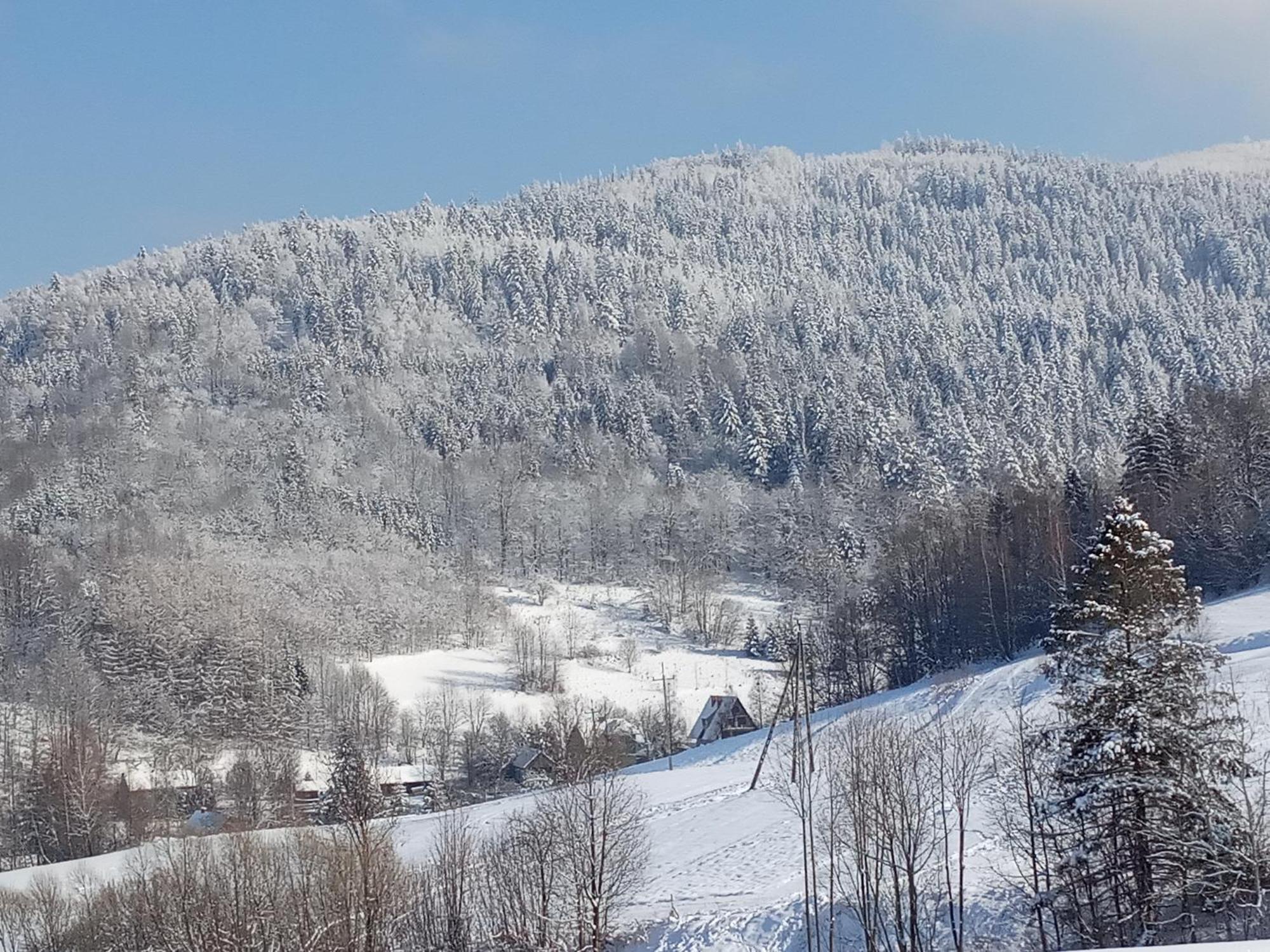 Dom W Gorach Przy Szlaku Villa Bystra  Kültér fotó